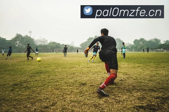 华体在线登录入口发展历程